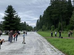 -五营红松林海景区