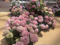 -上海长风大悦城