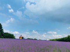 -北纬44度·金珠花海休闲农业旅游景区