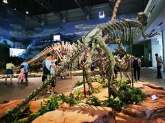 -自贡恐龙博物馆