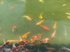 -镇江中国醋文化博物馆
