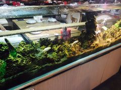 -9味·垂钓烧烤生态农庄(峭岐店)