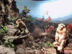 -陕西自然博物馆