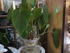 -广州塔晖粤轩中餐厅