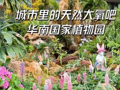 -中国科学院华南植物园