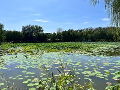 -三忘湖 SWANSEEN(柳荫公园店)