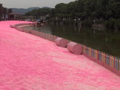 -苏州太湖西山岛开心农场