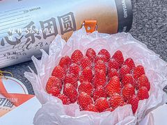 -沁园(南坪上海城店)