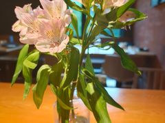 -一坐一忘云南菜(三里屯店)