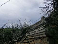 -白水寺森林公园