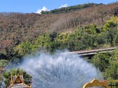 -西双版纳原始森林公园