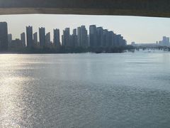 -灞河西岸滨河公园