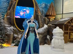 -世界之窗阿尔卑斯冰雪世界