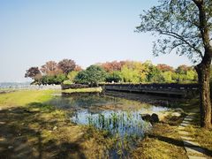-长广溪湿地公园