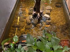 -邈墨茶馆(凤起路店)