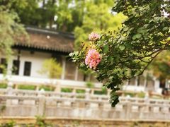 -苏州碑刻博物馆