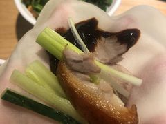 -守柴炉烤鸭(科华中路王府井店)