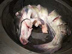 -满兴咱妈烀饼铁锅炖(兰州北街店)