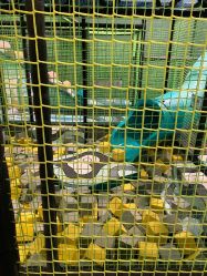 -MELAND CLUB亲子乐园·派对·餐厅(北京芳圆里ID MALL店)