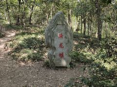 -上海佘山国家森林公园天马山园