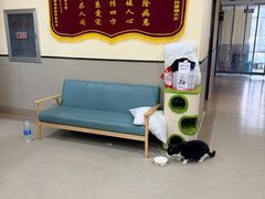 -爱派特动物医院·全科诊疗中心