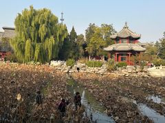 -莲池书院博物馆