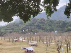 -风云岭森林公园