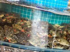 -蓝珊甄选海鲜自助·火锅大排档(近阿那亚店)