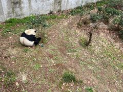 -黔灵山公园