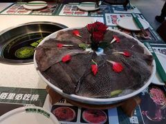 鲜毛肚-香佰里重庆火锅(恒力博纳广场店)