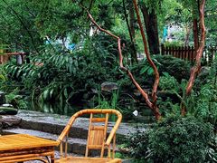 -成都市活水公园