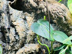-中国湿地博物馆