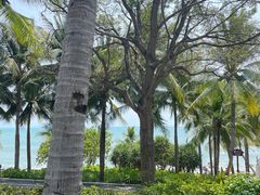 -三亚南山文化旅游区