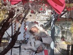 大堂-喵屿·大理花园猫咖