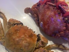 -半岛听涛蒸汽海鲜自助(K11店)