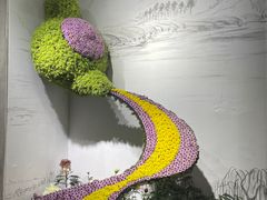 -杭州植物园