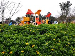 -铁山坪森林公园