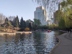 -团结湖公园