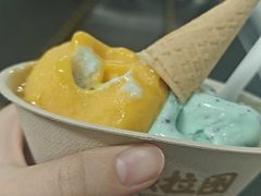 -极拉图·现制冰淇淋(梅溪湖新天地步步高店)