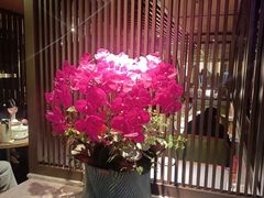 -老头儿油爆虾(星光一期店)