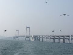 -星海湾跨海大桥