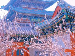 -迎泽公园