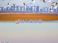 -北戴河转鱼·炒螃蟹酱餐厅