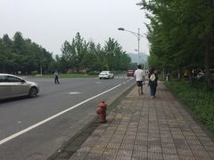 -浙江农林大学(东湖校区)