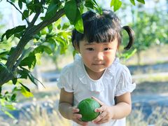 -前小桔亲子创意农场·草莓采摘·露营烧烤