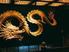-蜀九鼎毛肚火锅(惠安店)