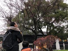 -杭州西湖柳莺里酒店·闻莺厅