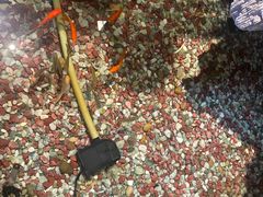 -水晶之星洗浴温泉汗蒸