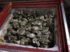 八一湛江生蚝-八一湛江生蚝(文明东路总店)