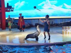 -三亚海昌梦幻海洋不夜城